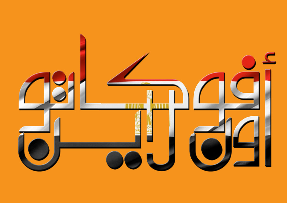 محامي قضايا العرب والأجانب في مصر