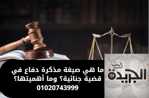 مذكرة دفاع في قضية جنائية